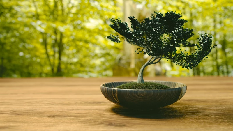 Tổng hợp tất cả các loại cây hay được sử dụng để làm bonsai