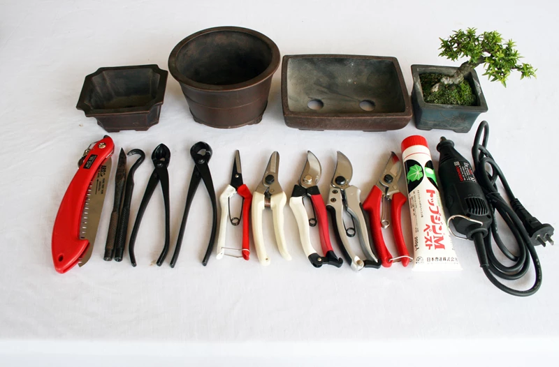 Bộ dụng cụ không thể thiếu khi bắt đầu trồng cây bonsai