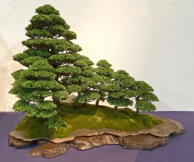 Chiêm ngưỡng bonsai dáng đẹp tại triển lãm Kokufu năm 2020