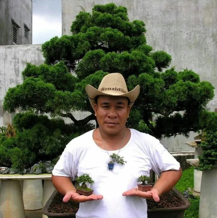 Hình trình bonsai của nghệ nhân Lâm Ngọc Vinh