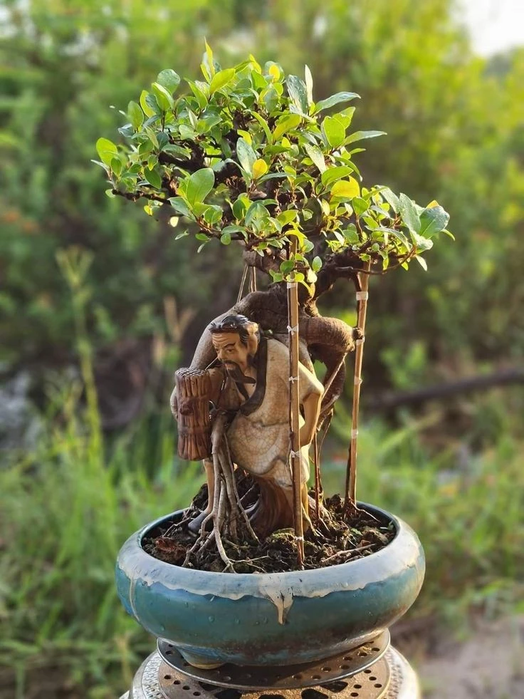 Tác phẩm tượng bonsai mang ý nghĩa sâu sắc