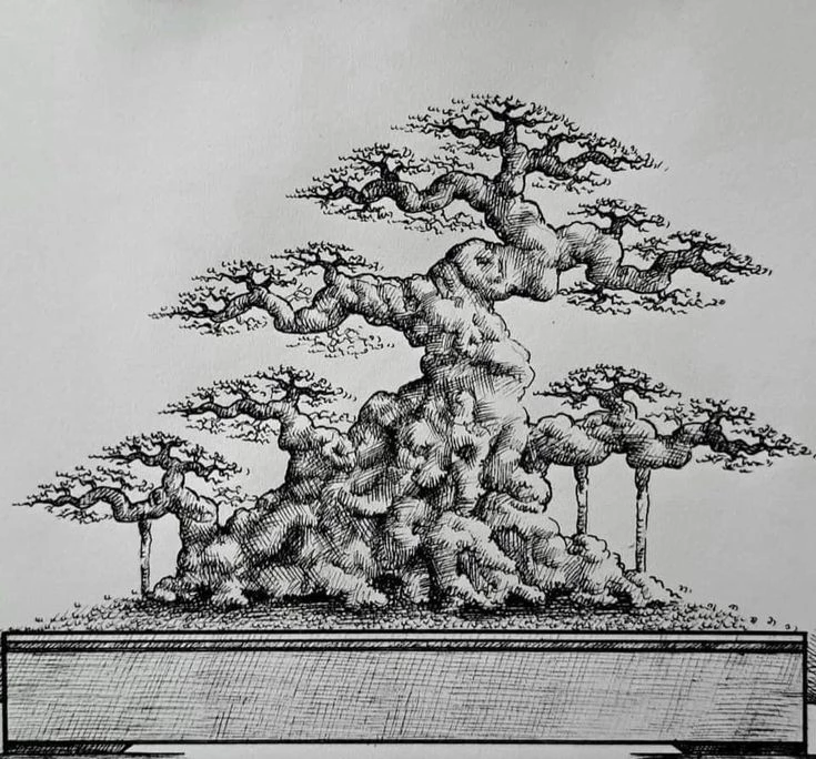 Sketch bonsai: Bản phác họa cây cảnh chi tiết