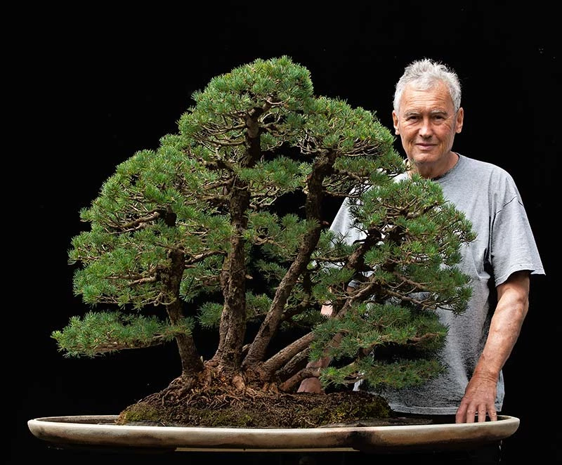 Những tác phẩm bonsai độc và lạ của nghệ nhân Walter Pall