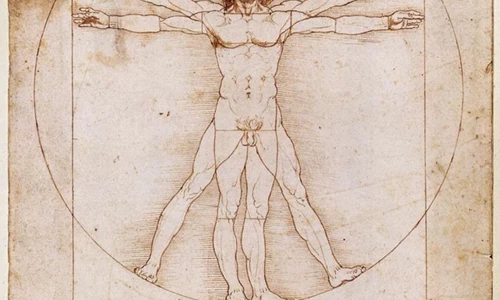 Ứng dụng nguyên tắc nghệ thuật trong cây cảnh