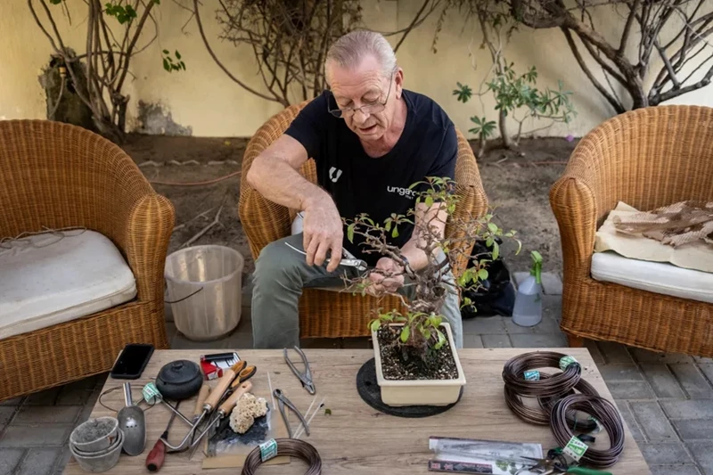 Gặp gỡ Robert MacNair - Bậc thầy bonsai ở Dubai