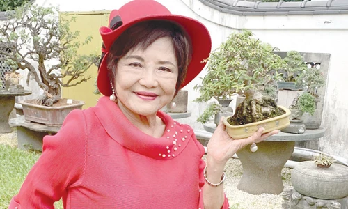 Chữa khỏi trầm cảm nhờ cây cảnh, người phụ nữ trở thành bậc thầy bonsai Trung Quốc