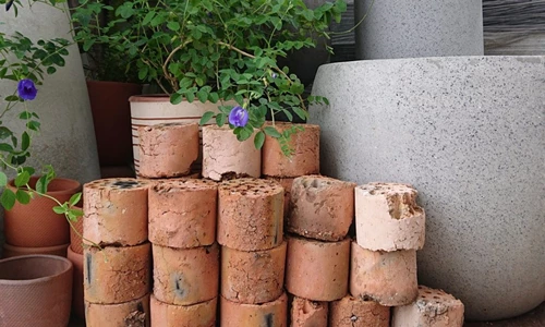 Xỉ than tổ ong – 'Akadama phiên bản Việt' dành cho người trồng cây bonsai