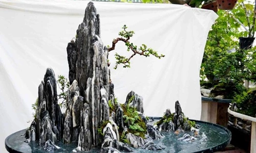 Núi trong nghệ thuật cây cảnh Penjing Trung Quốc