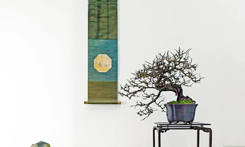 Nghệ thuật Suiseki và sự liên quan đến Bonsai ở Nhật Bản
