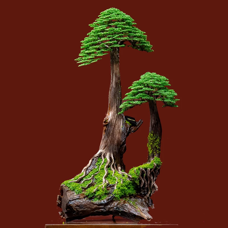 Bonsai phụ tử hay mẫu tử?