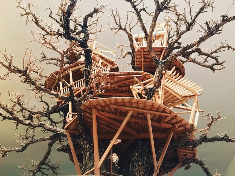 Độc lạ mà đầy thú vị với ngôi nhà thu nhỏ trên cây bonsai