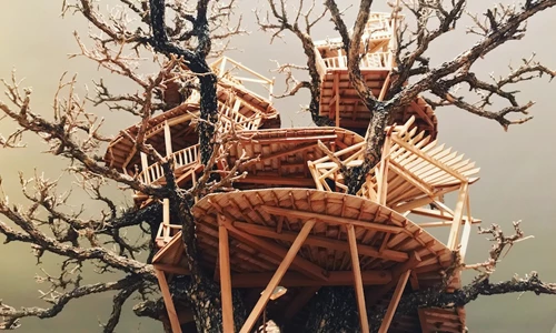 Độc lạ mà đầy thú vị với ngôi nhà thu nhỏ trên cây bonsai
