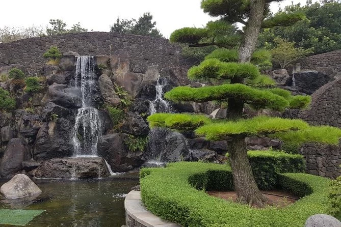 Bonsai Hàn Quốc: Vẻ đẹp của bảo tàng và khu vườn linh hồn