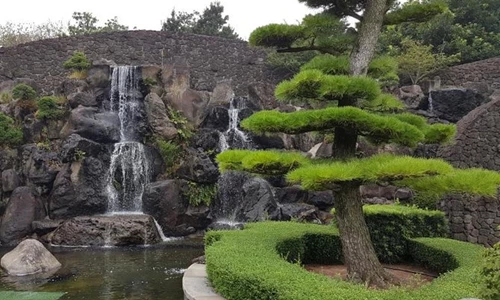Bonsai Hàn Quốc: Vẻ đẹp của bảo tàng và khu vườn linh hồn